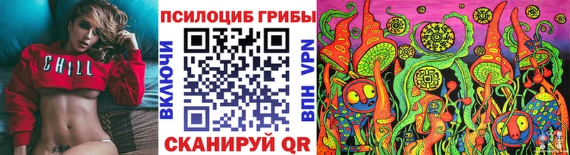 Псилоцибиновые грибы Psilocybine cubensis  Ртищево 